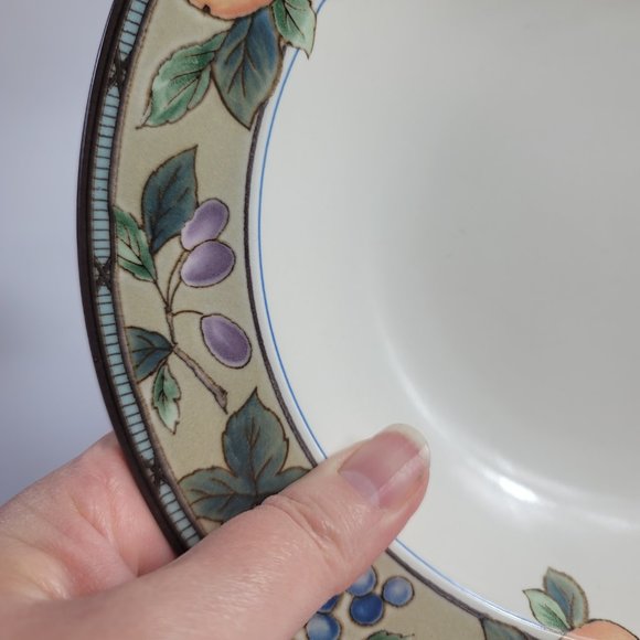 TWO Mikasa Intaglio Garden Harvest Rim Soup Bowls Fruit and Leaves on Rim - Picture 9 of 13